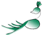Exalted Peacock Logo